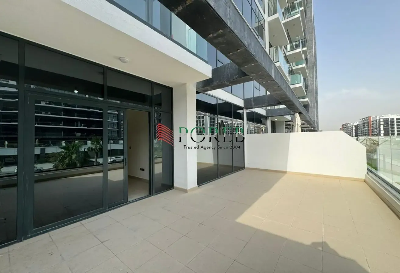 XL 1 BR | Front Boulevard View | Vacant