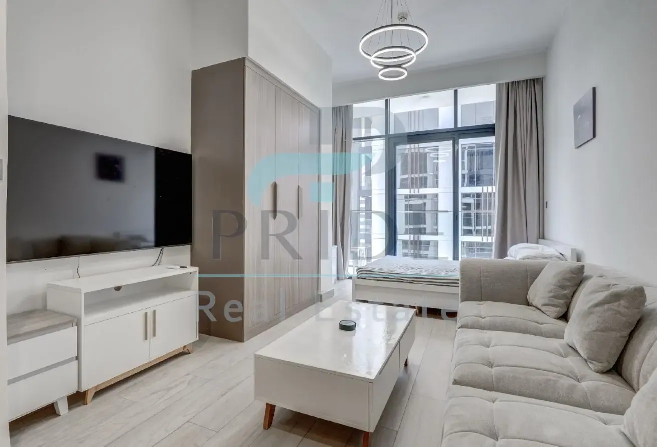 Furnished Studio on Mid Floor | 4 Cheques | Vavant