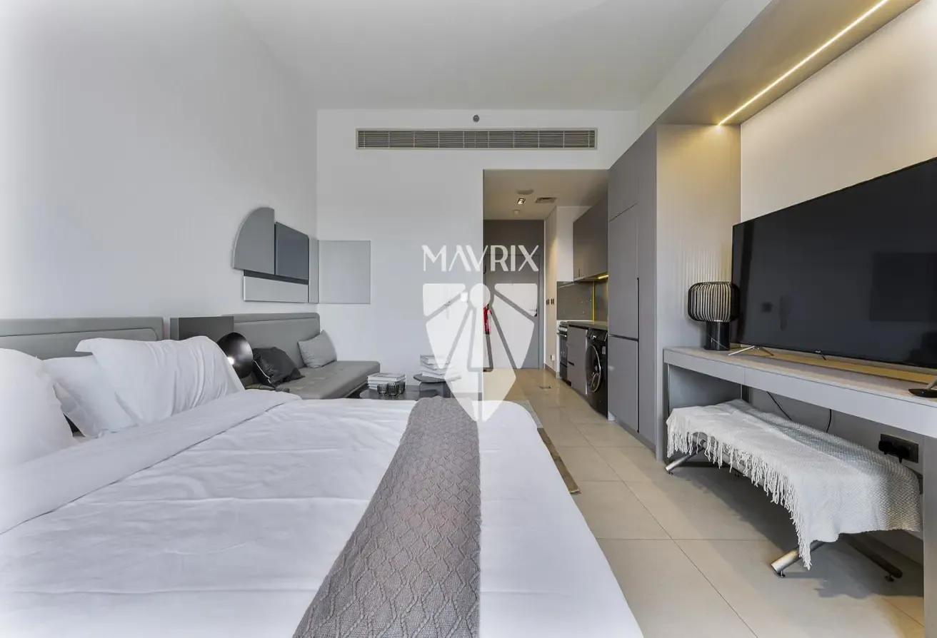 Furnished Studio | Near Downtown | Move In Ready