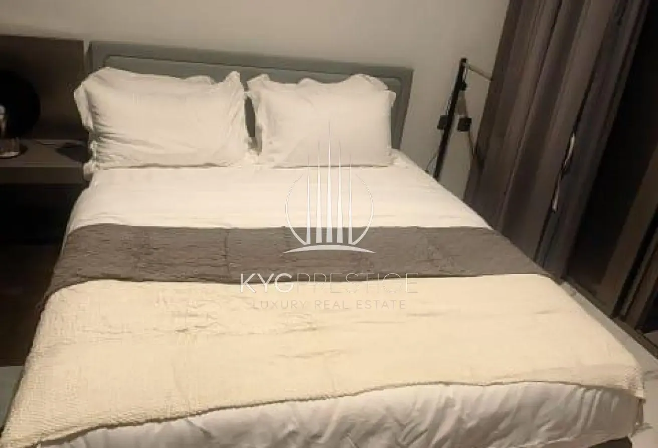 Large Studio | with Bills | 12 Cheques Available