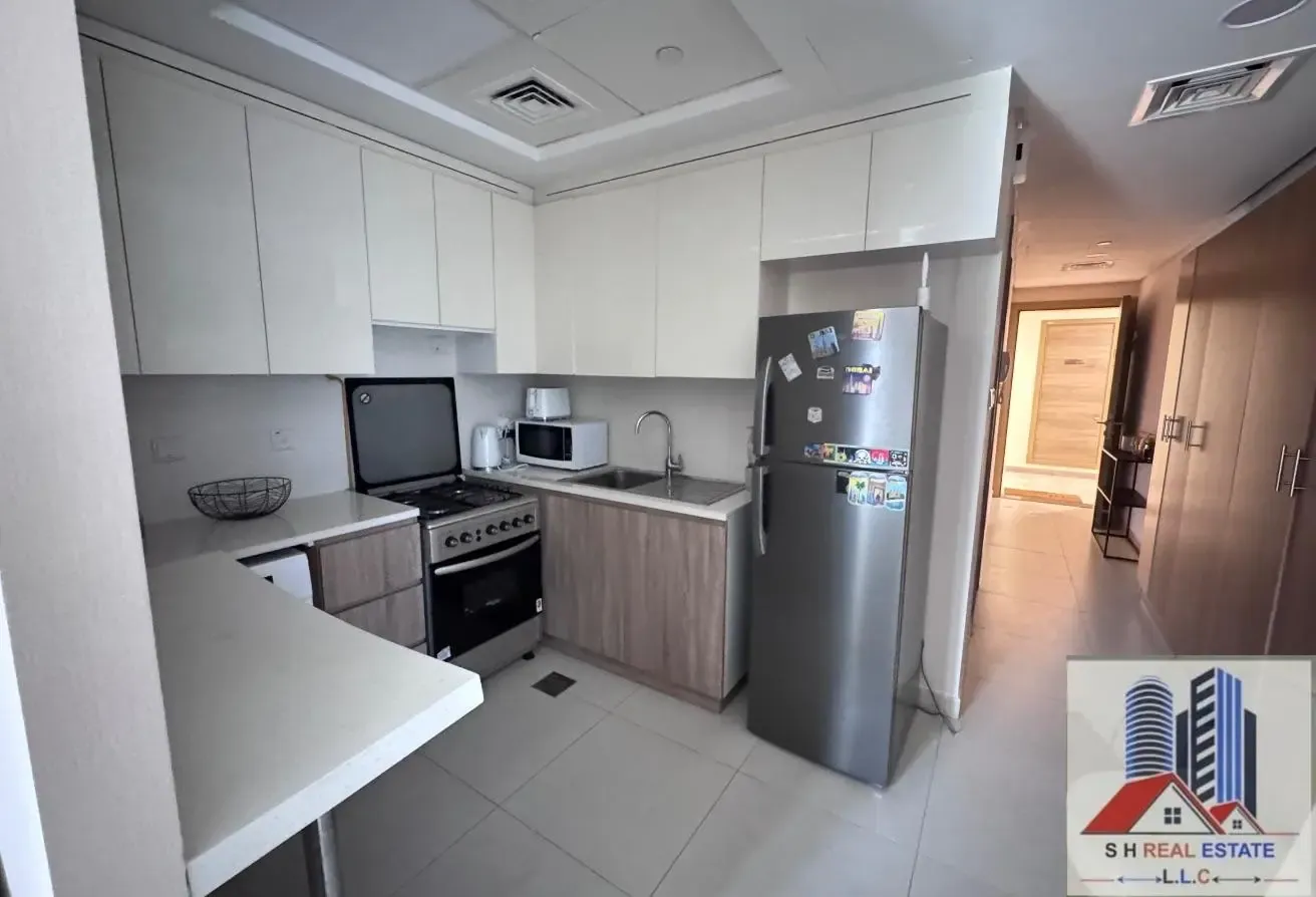 SPACIOUS APARTMENT FULLY FURNISHED