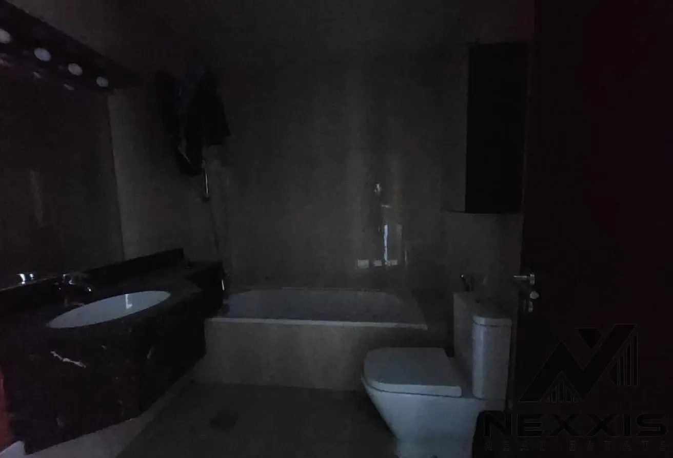 Unfurnished – Vacant – Close to metro - Maid Room