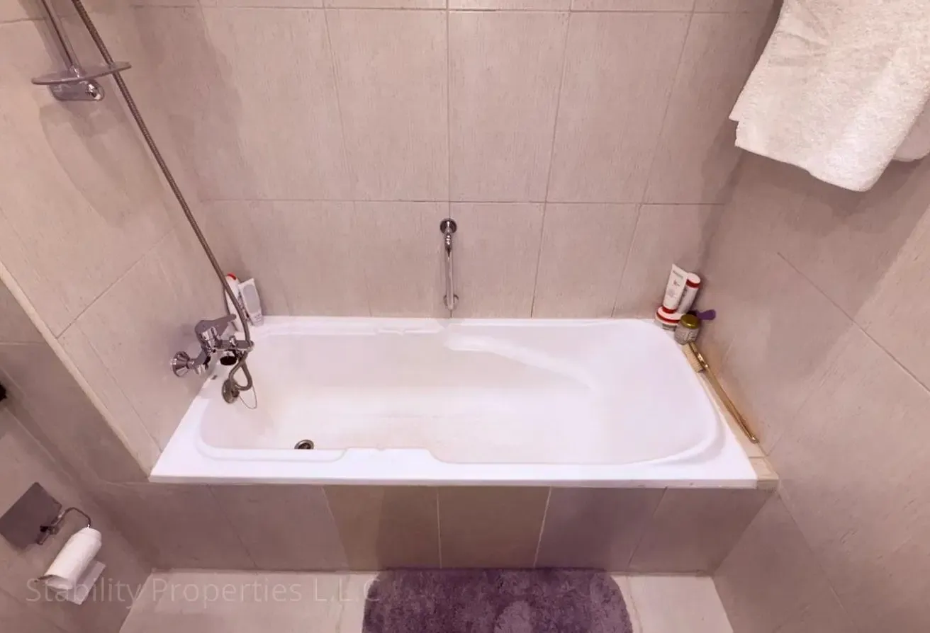 SPACIOUS LAYOUT | FULLY FURNISHED | SKYLINE MARINA