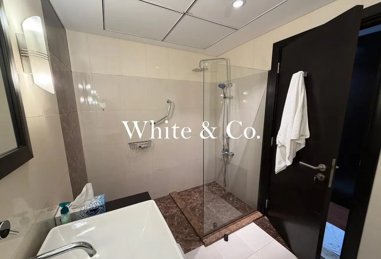 Fully Furnished | Large Layout | Vacant