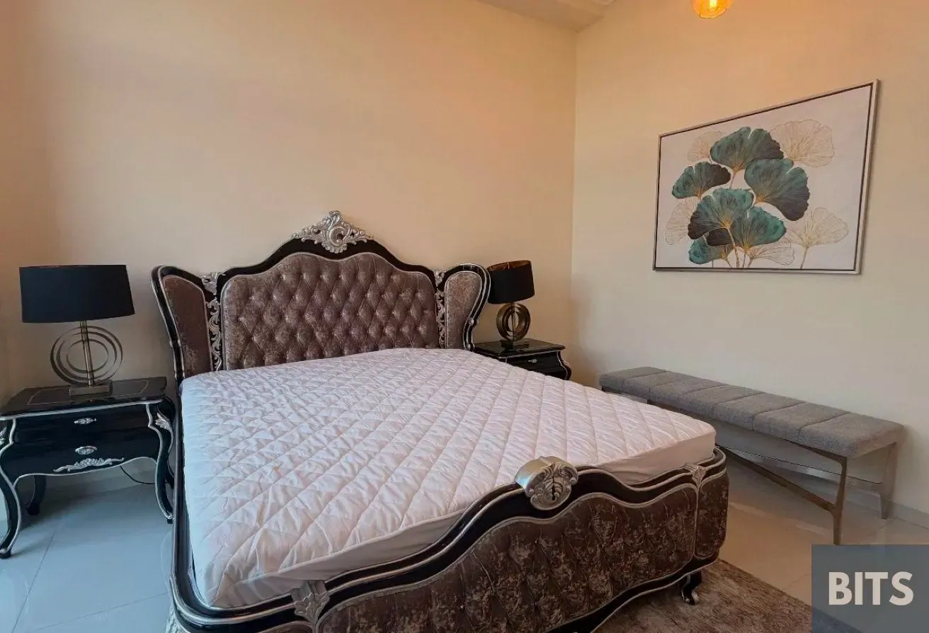 Spacious 3BR Villa | Fully Upgraded & Furnished |