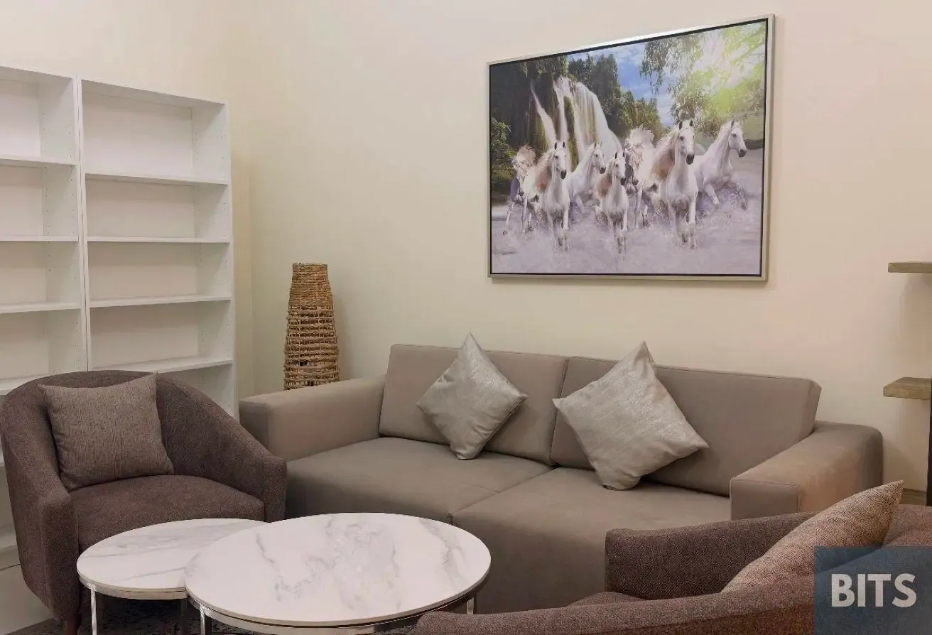 Spacious 3BR Villa | Fully Upgraded & Furnished |