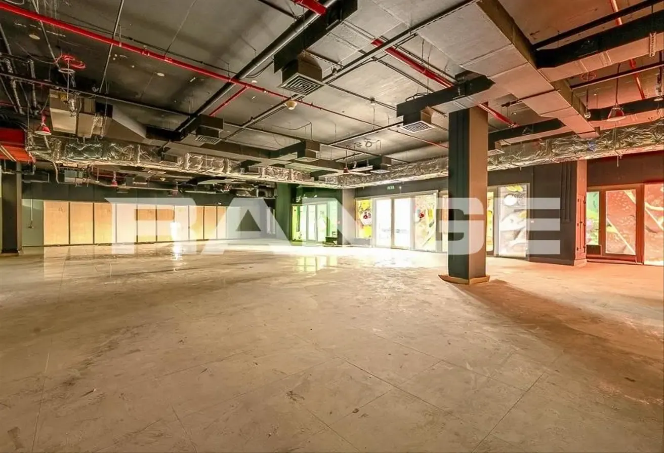 Shell and Core | Multiple Options | Vacant