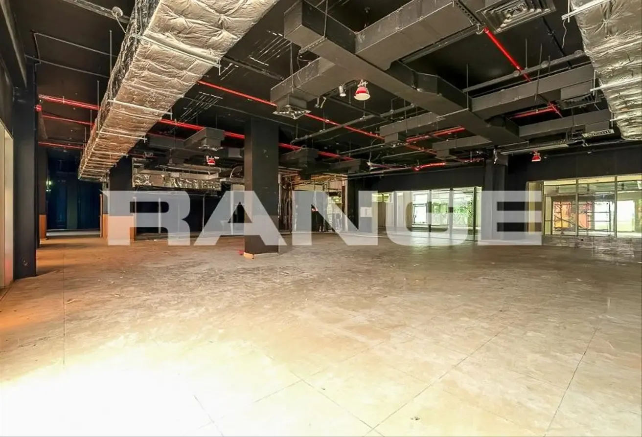 Shell and Core | Multiple Options | Vacant