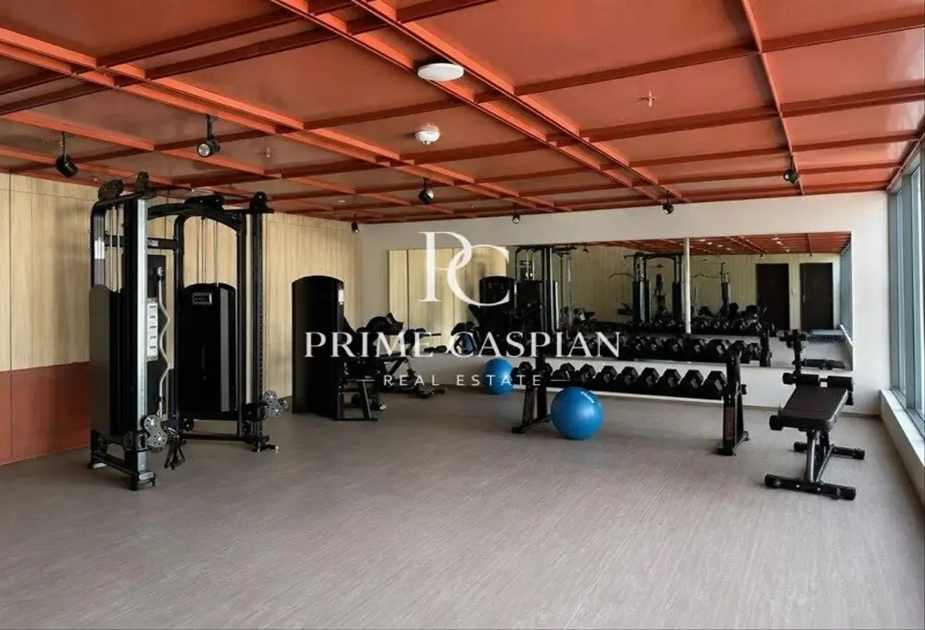 STUDIO | UNFURNISHED | READY | OPTION OPEN