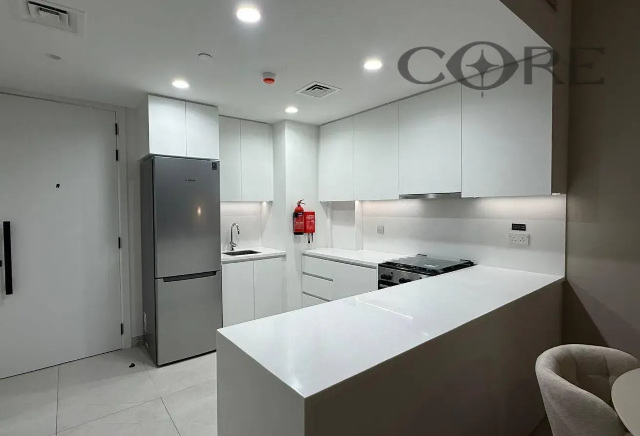 STUNNING FULLY FURNISHED 1BR APARTMENT