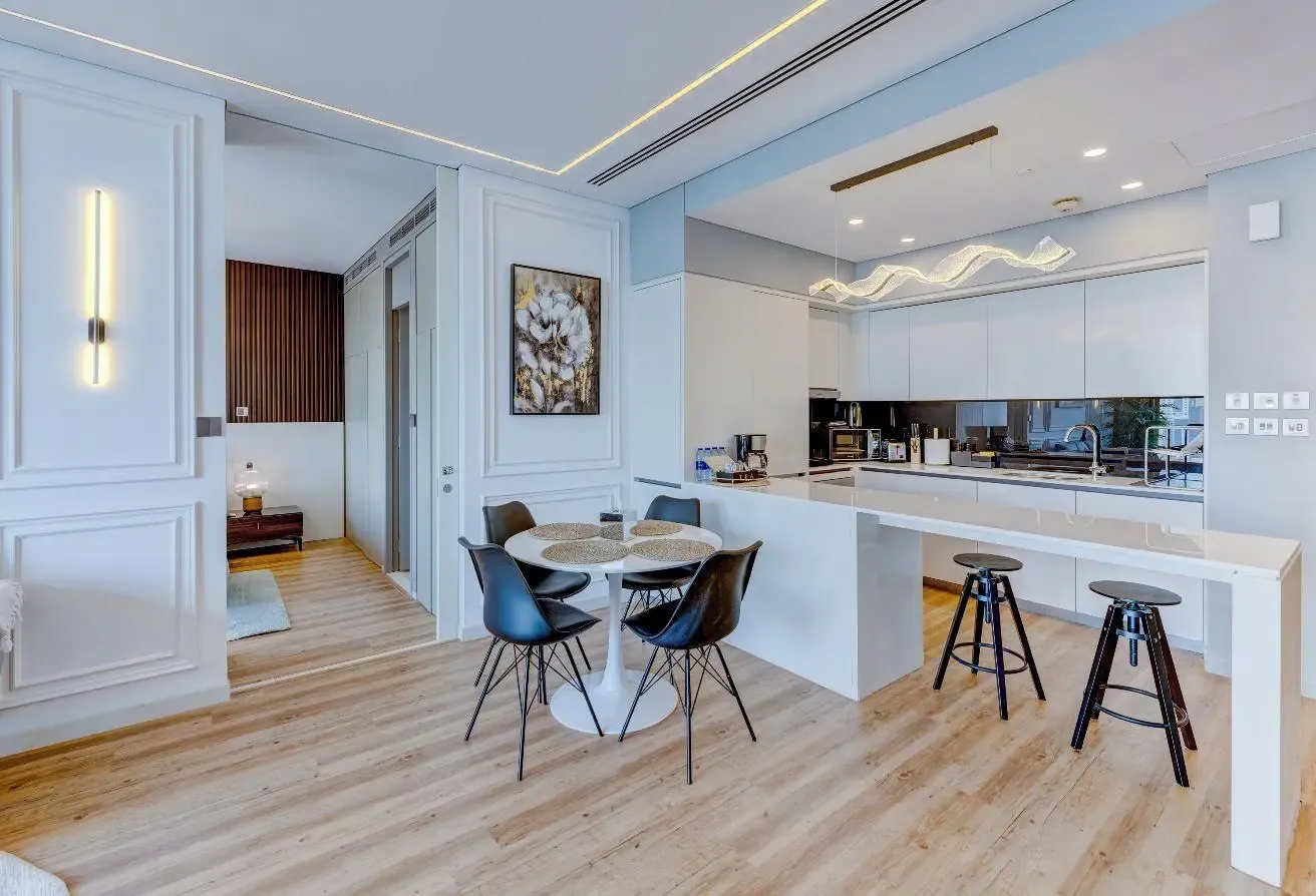 One Bedroom Apartment with Minimalistic design