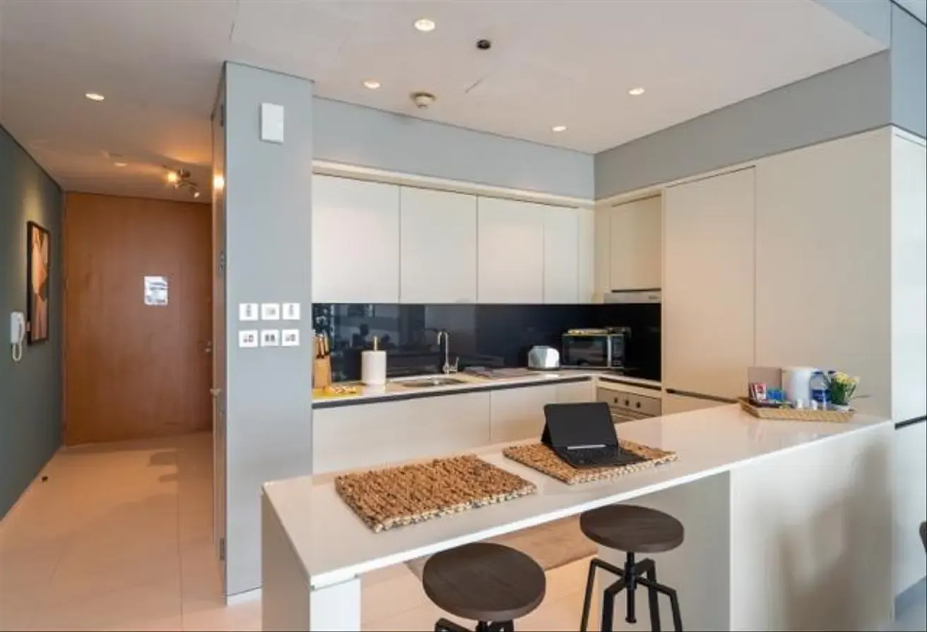 One Bedroom Apartment with Minimalistic design