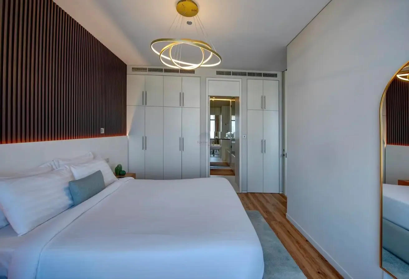 One Bedroom Apartment with Minimalistic design