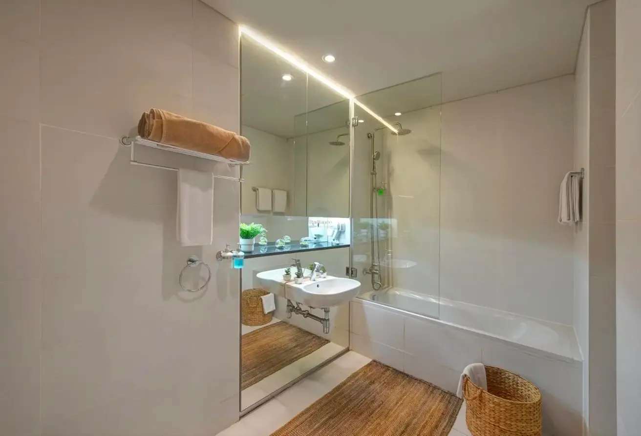 One Bedroom Apartment with Minimalistic design