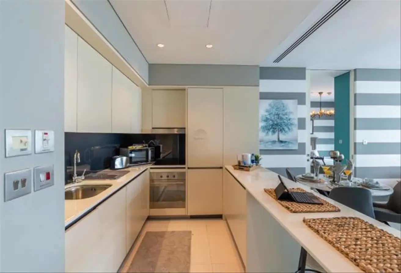One Bedroom Apartment with Minimalistic design