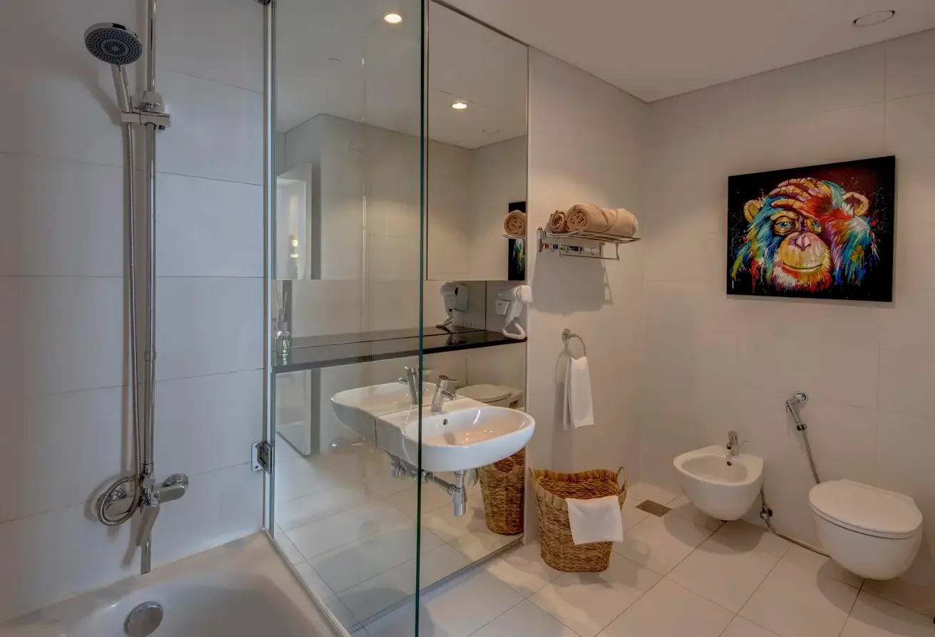 One Bedroom Apartment with Minimalistic design