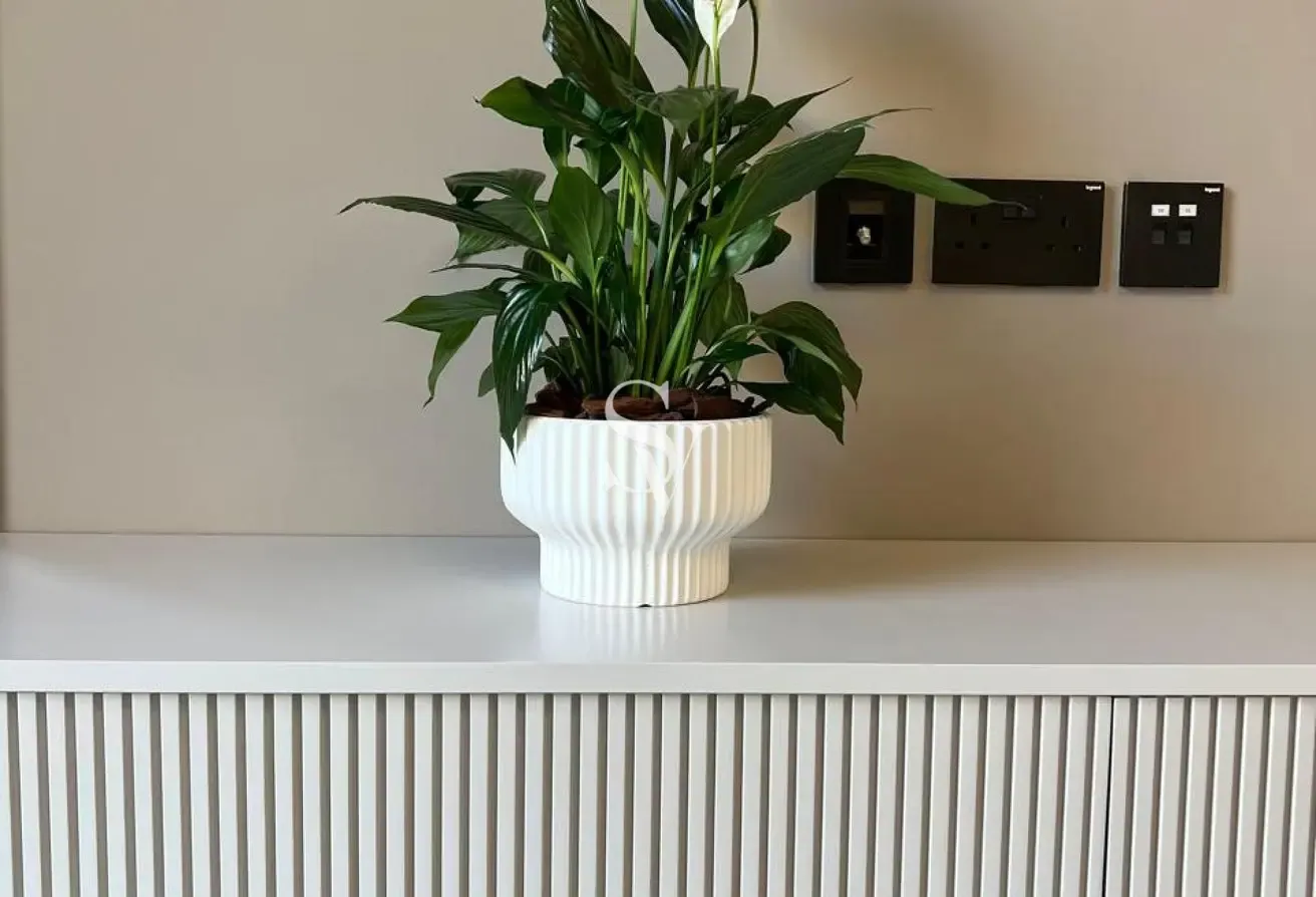 Modern Furnished | Pool View 1BR+Study Smart Home