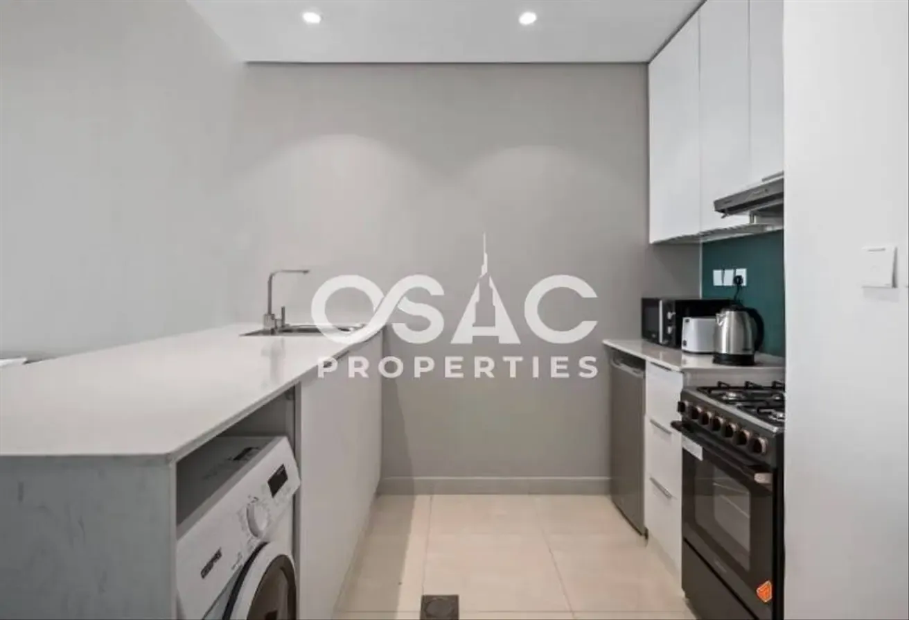Spacious | Fully Furnished Apartment | Vacant