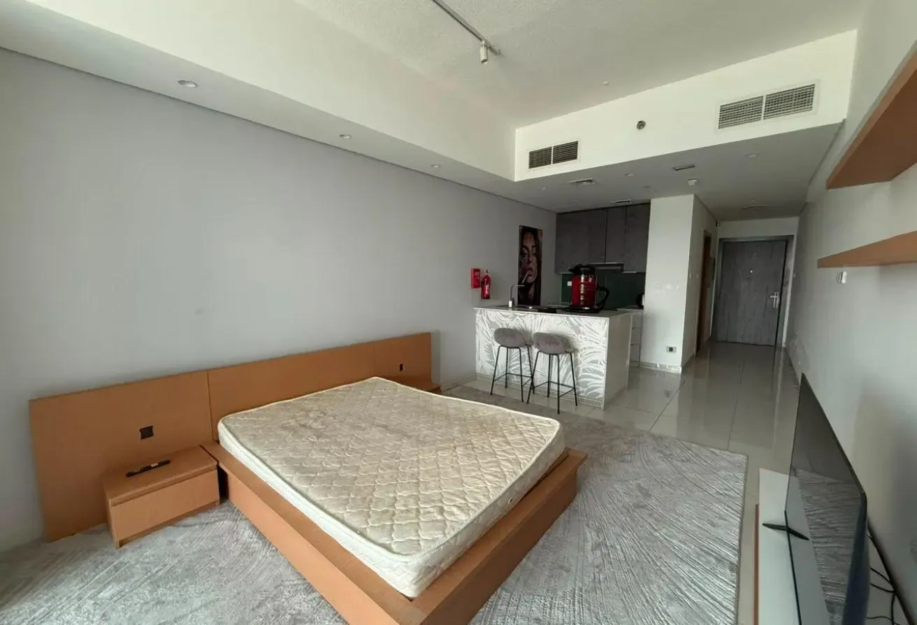 Furnished Big Studio Modern Ready to Move