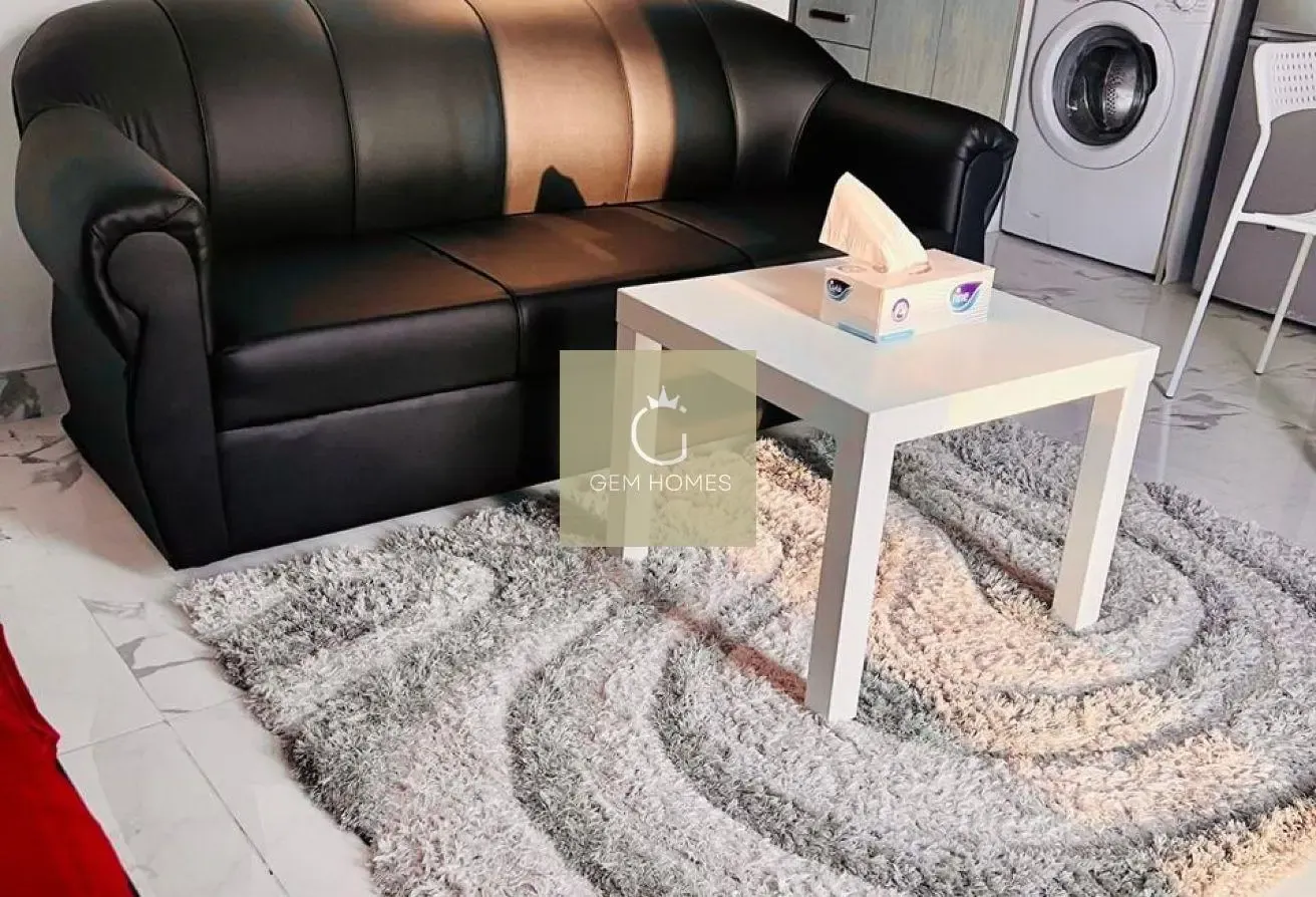 FULLY FURNISHED |  READY TO MOVE IN | BEST DEAL