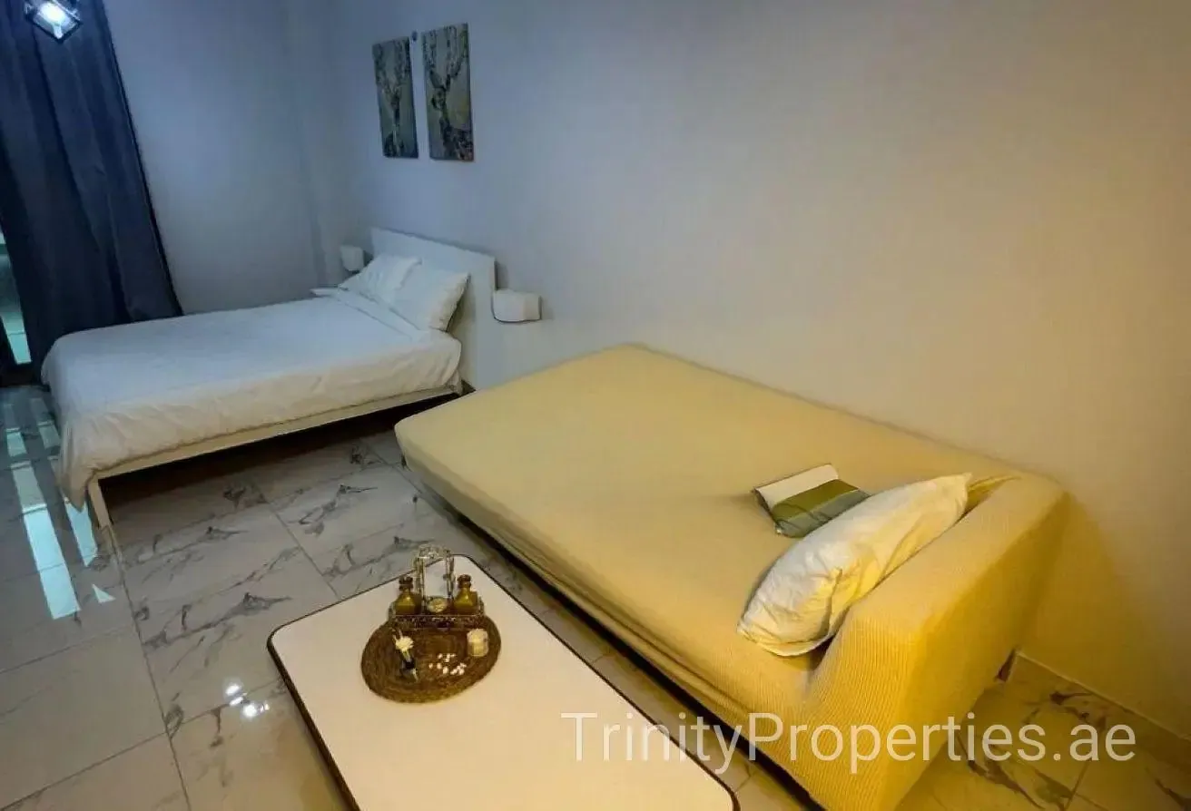 Fully Furnished | 12 Cheques | Ready To Move