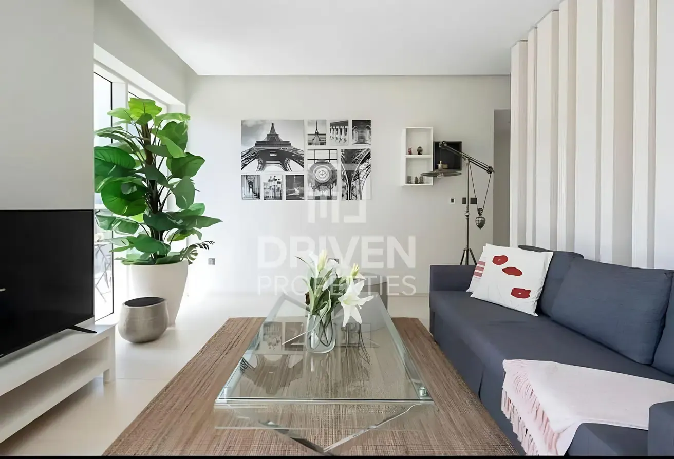 Luxury Furnished Apt | Vacant May 2026 | Spacious