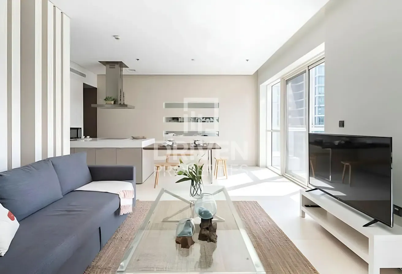 Luxury Furnished Apt | Vacant May 2026 | Spacious