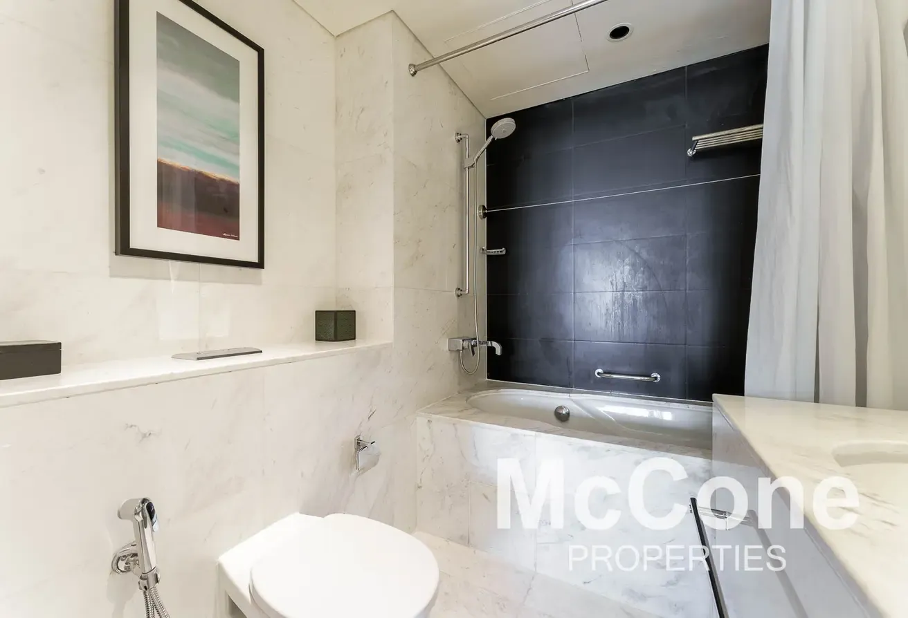 Dubai Mall Access | Zabeel View |  Furnished