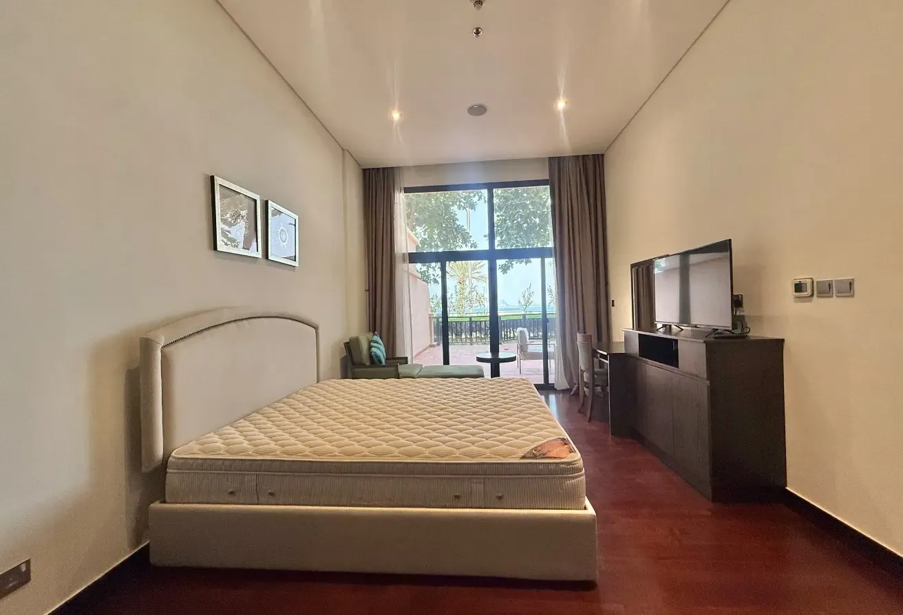 Sea View 1BR Huge Terrace Furnished Ready to Move