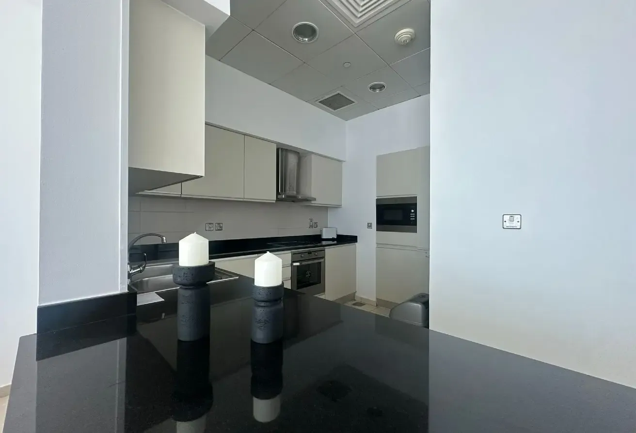 Stylishly Furnished 1 Br | Sea and Skyline view