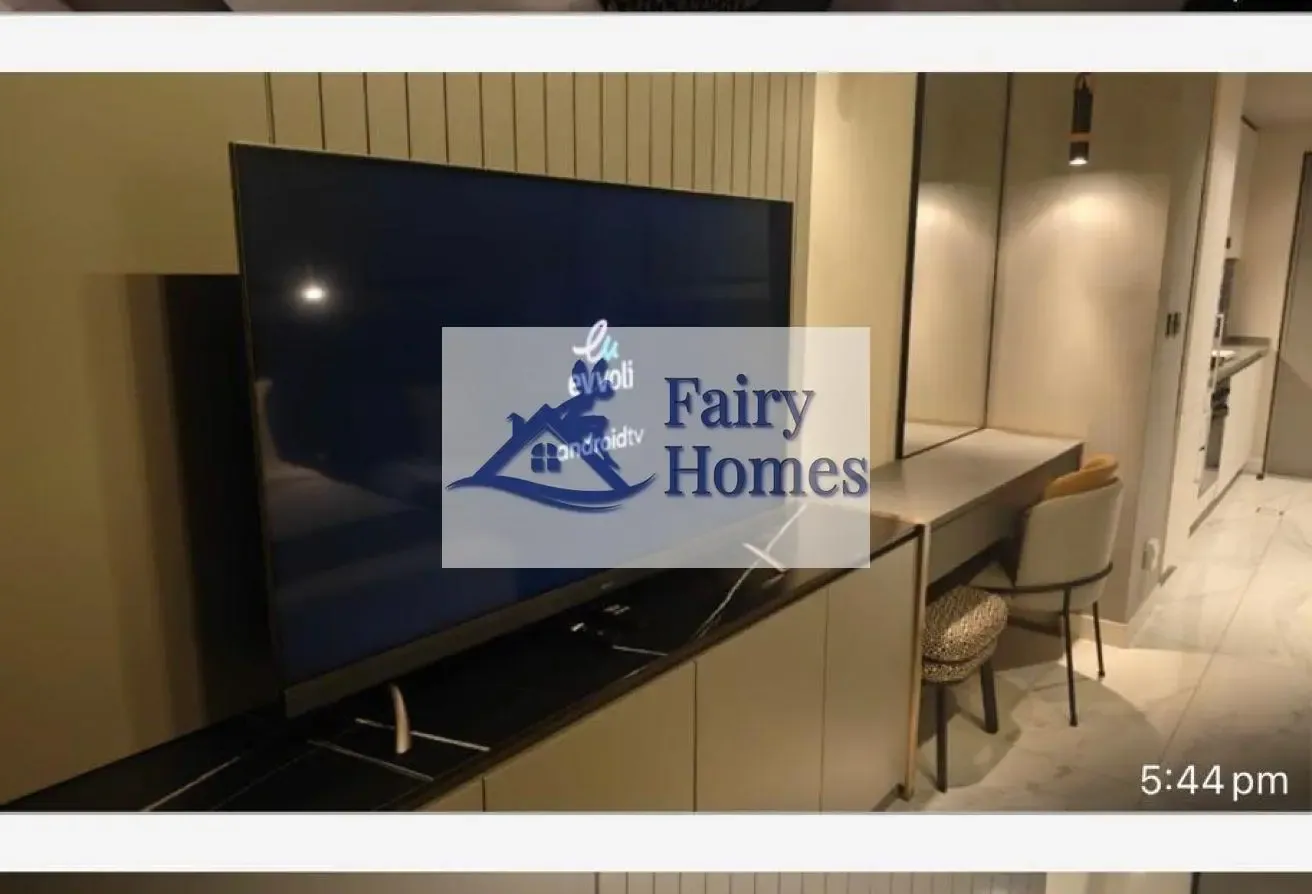 This furnished studio apartment for rent MAG 318