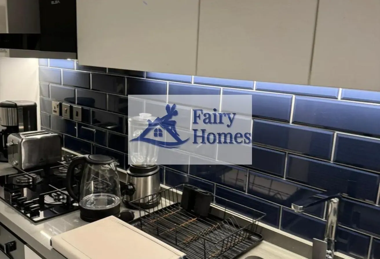 This furnished studio apartment for rent MAG 318