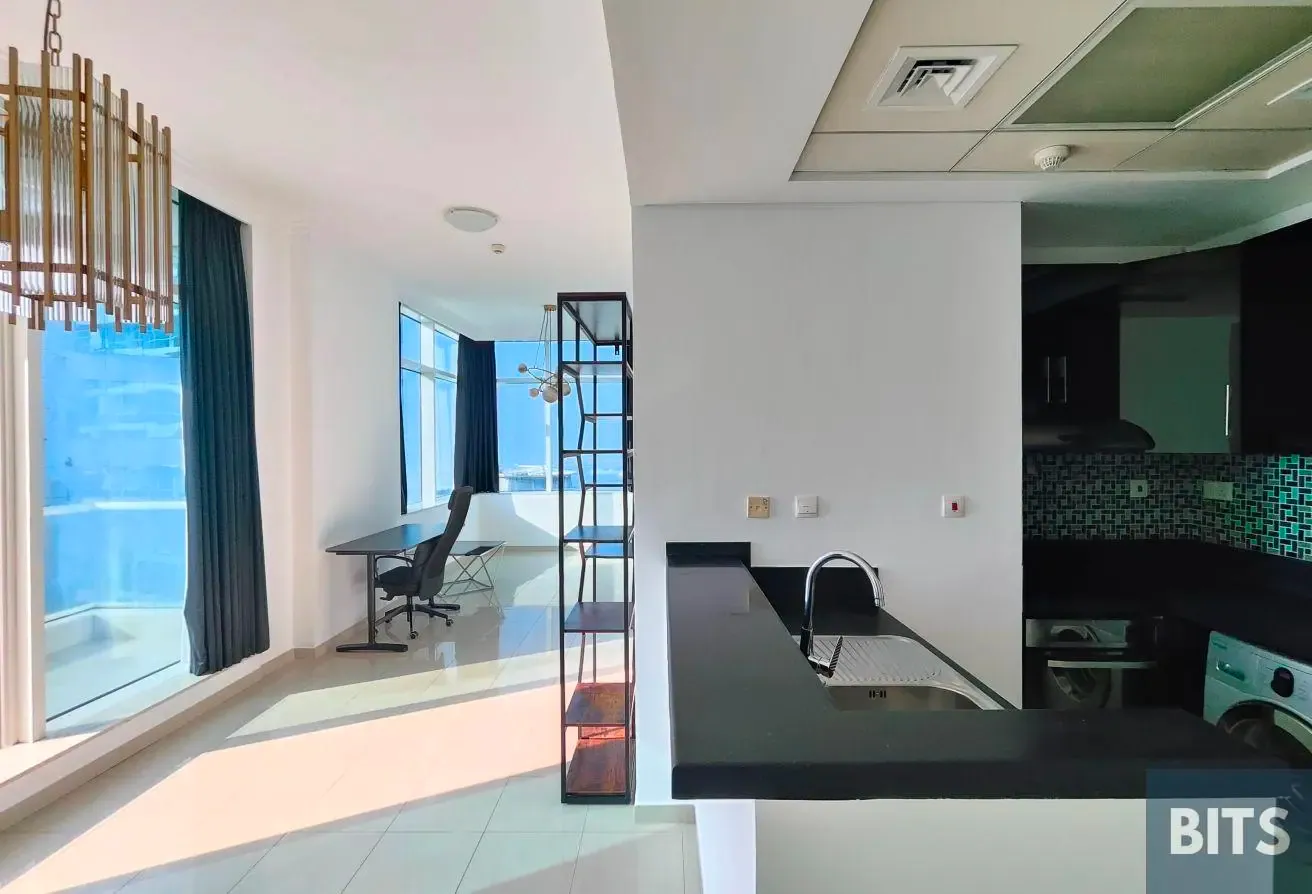 1BR | Full Sea View | Tenanted | Prime Location