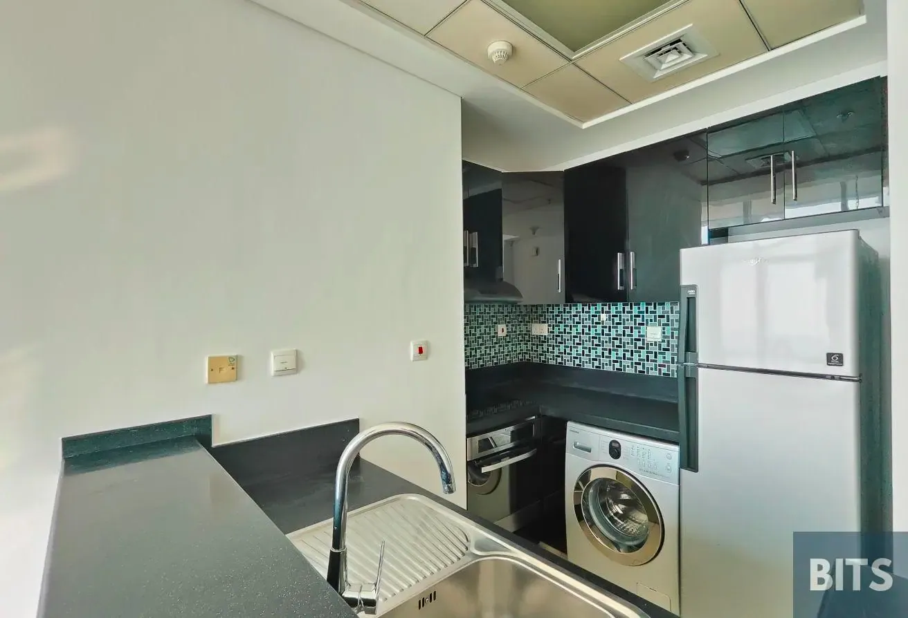 1BR | Full Sea View | Tenanted | Prime Location
