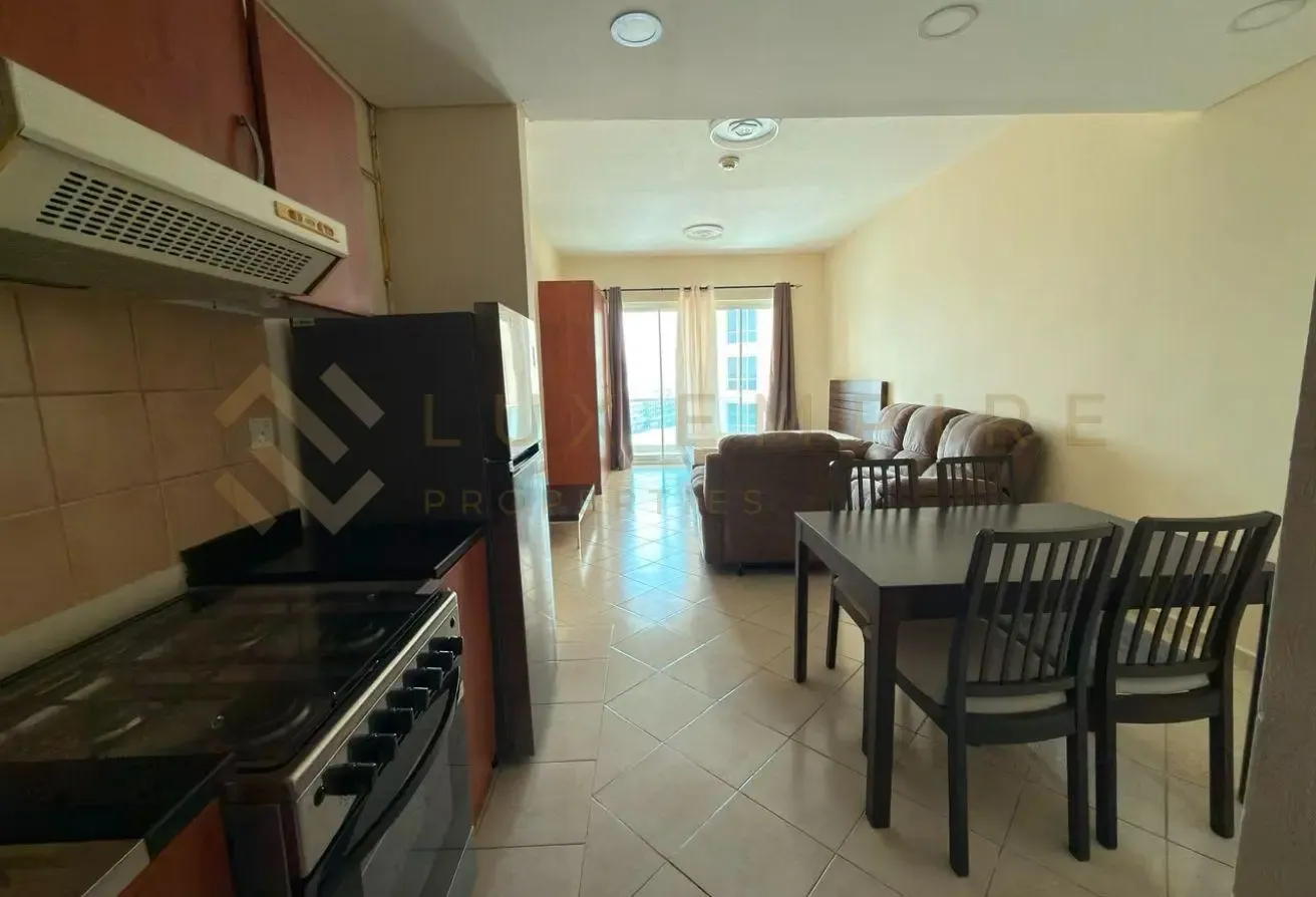 Furnished Studio | City View |  Crescent Tower C