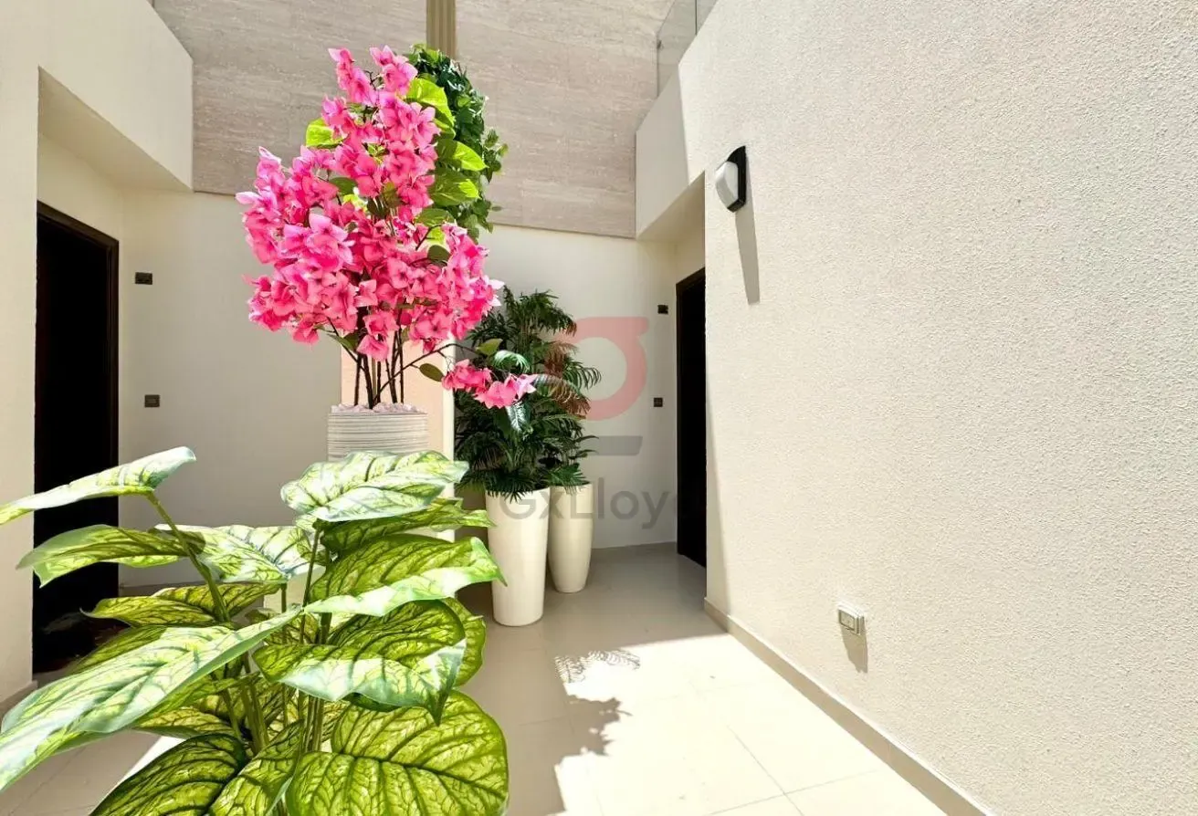 Brand New 3BR + | Furnished | Ready to Move in