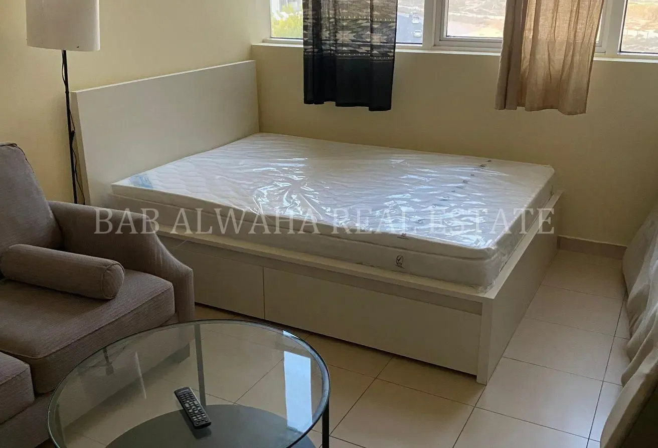Bright Glasses Window Fully Furnished Studio Apt