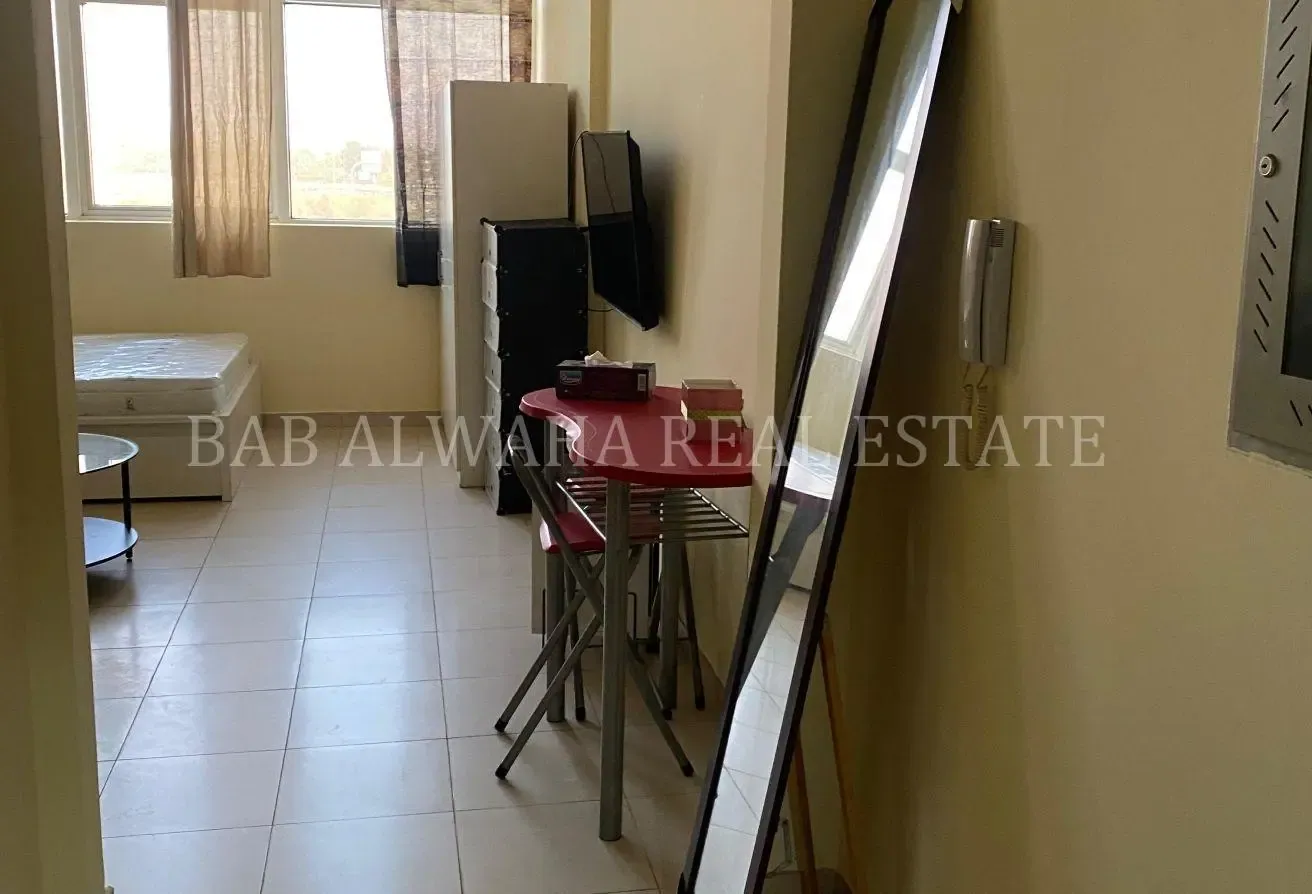 Bright Glasses Window Fully Furnished Studio Apt