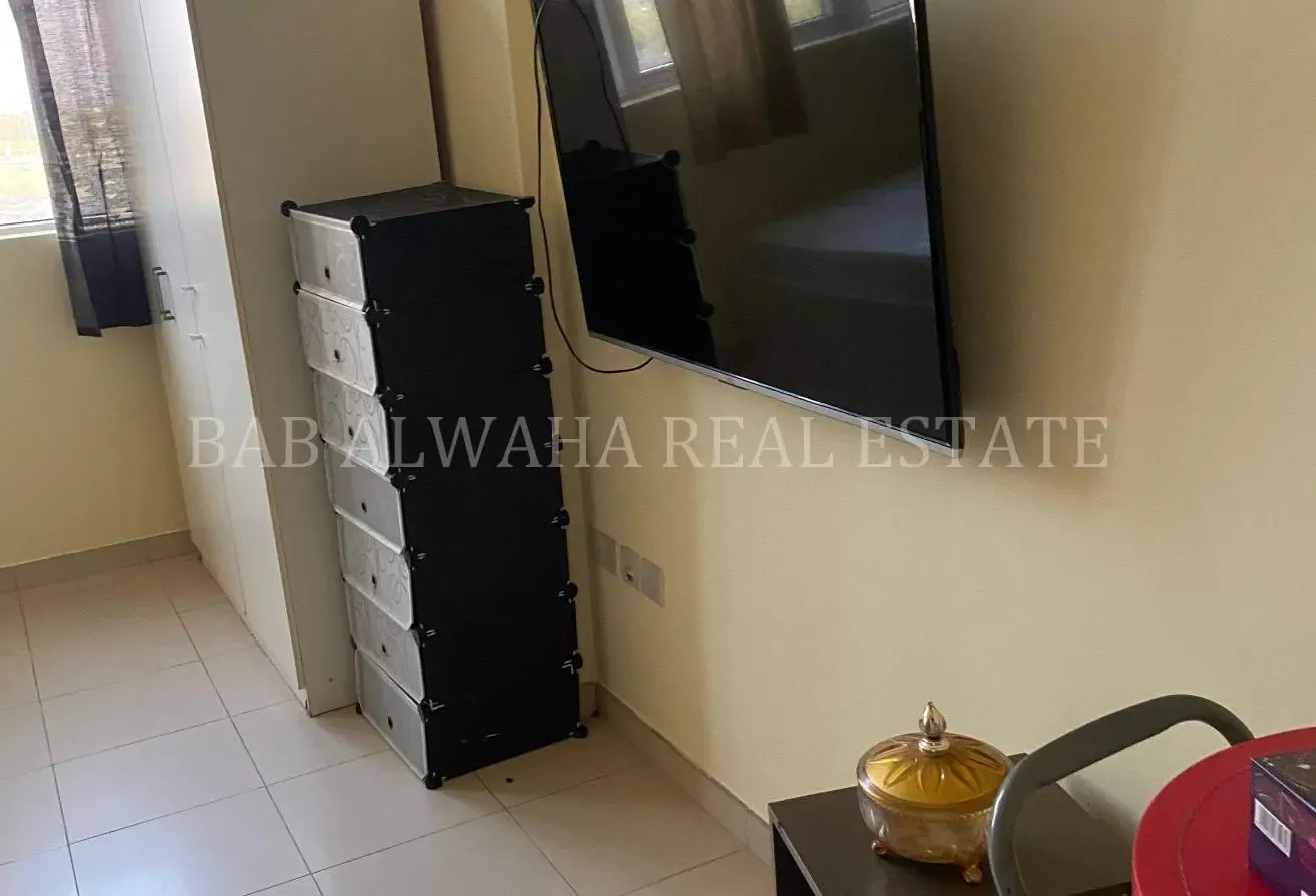 Bright Glasses Window Fully Furnished Studio Apt