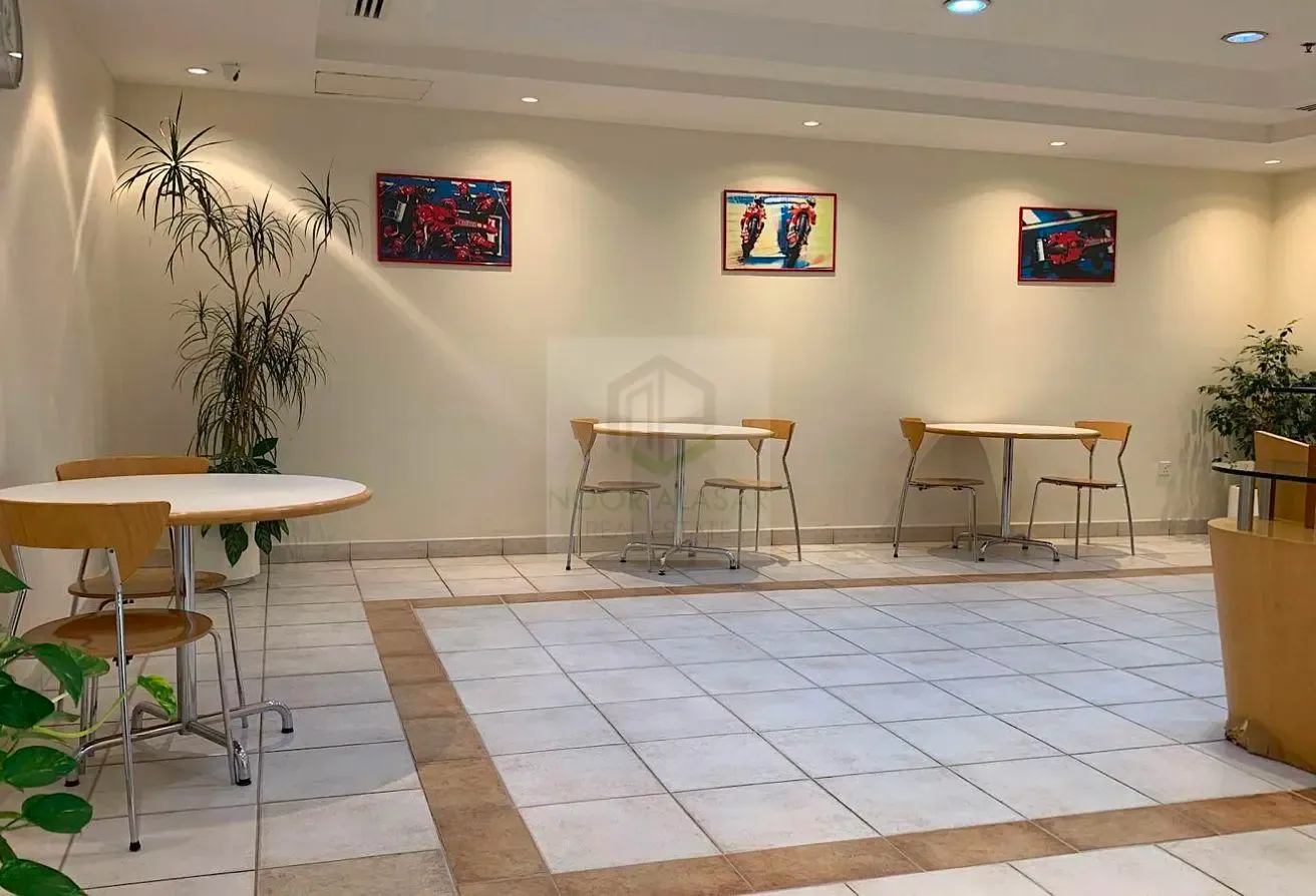 Upgraded 1 BR Multiple Layout's All Bill's Include