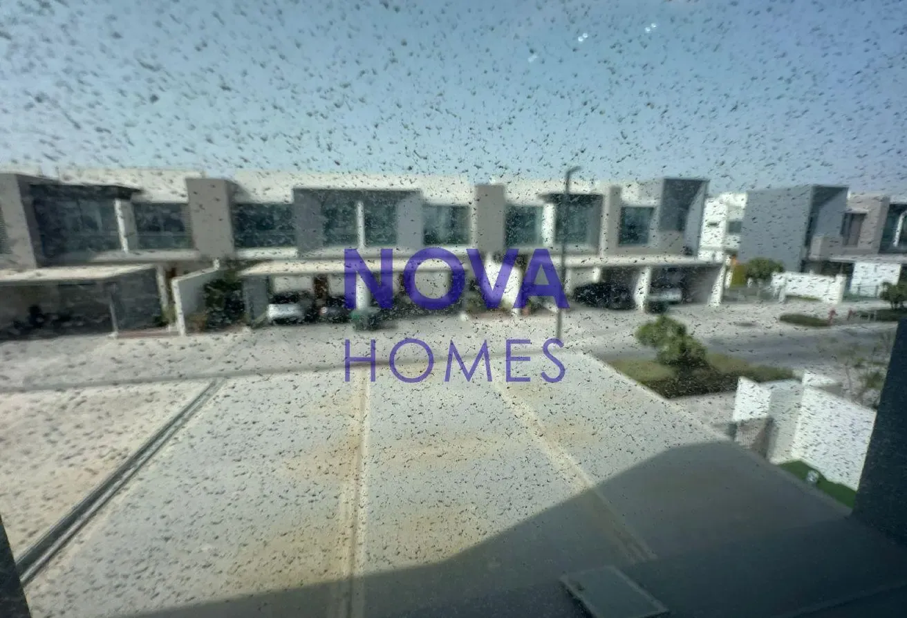 3BR Spacious Layout I Vacant I Modern