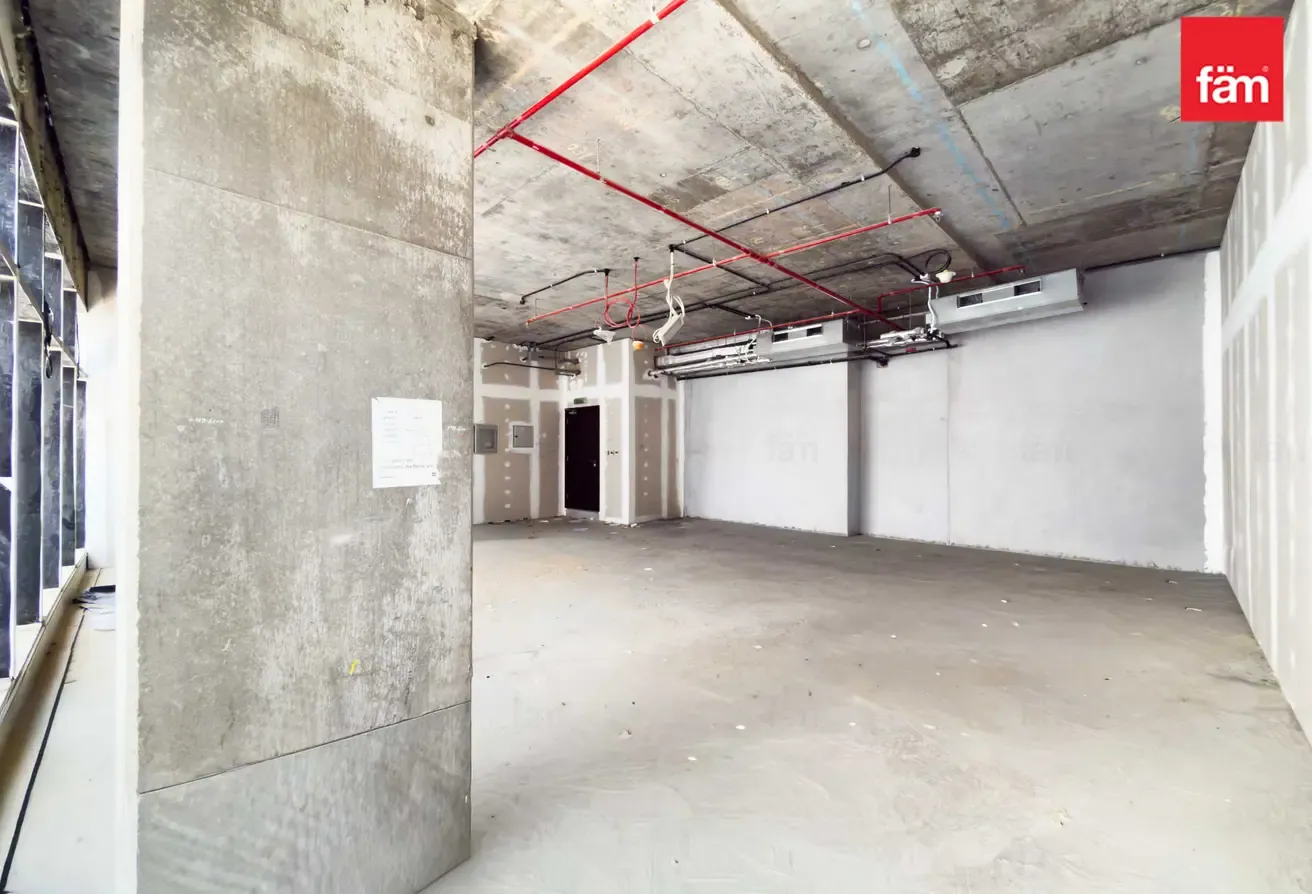 Shell & Core Large Office Mid Floor With Lake Vw