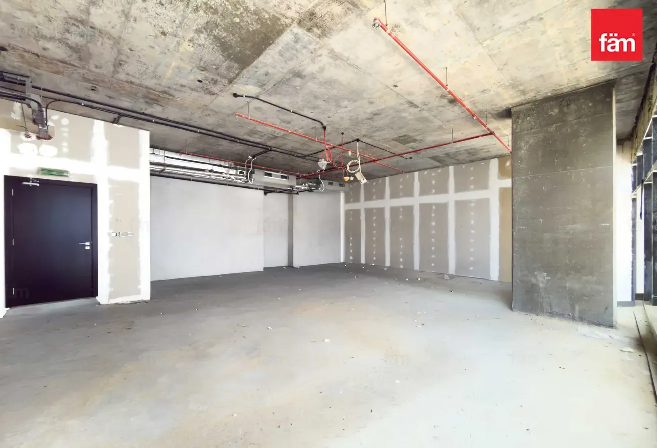 Shell & Core Large Office Mid Floor With Lake Vw