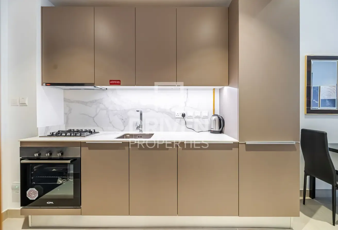 Luxury and Fully Furnished Apt | Modern