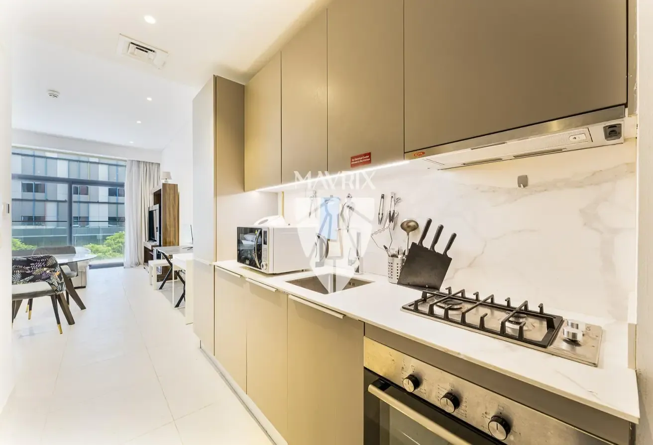 12 Cheques | Park View | Furnished | Best Price