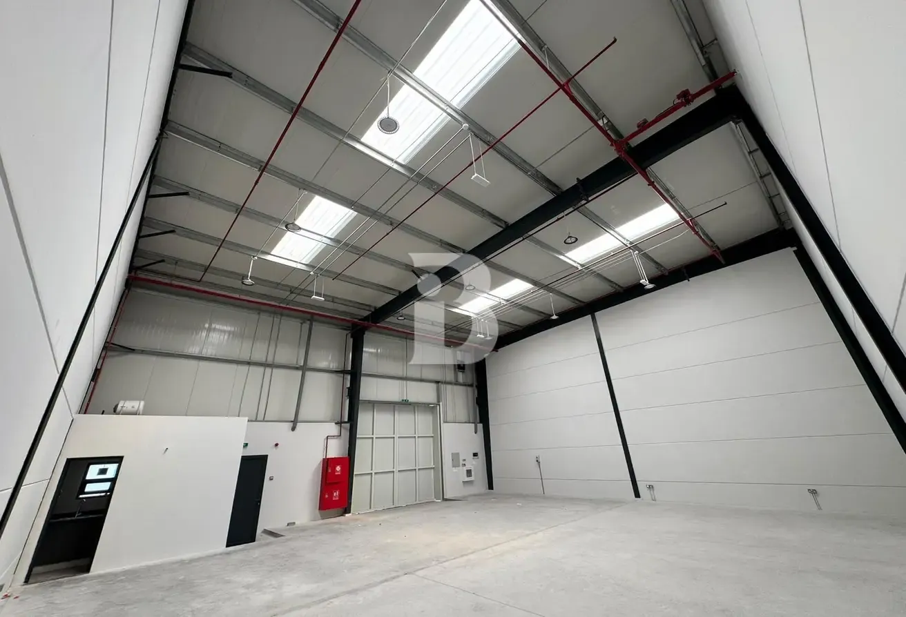 Premium Cold Storage Facility | Mainland