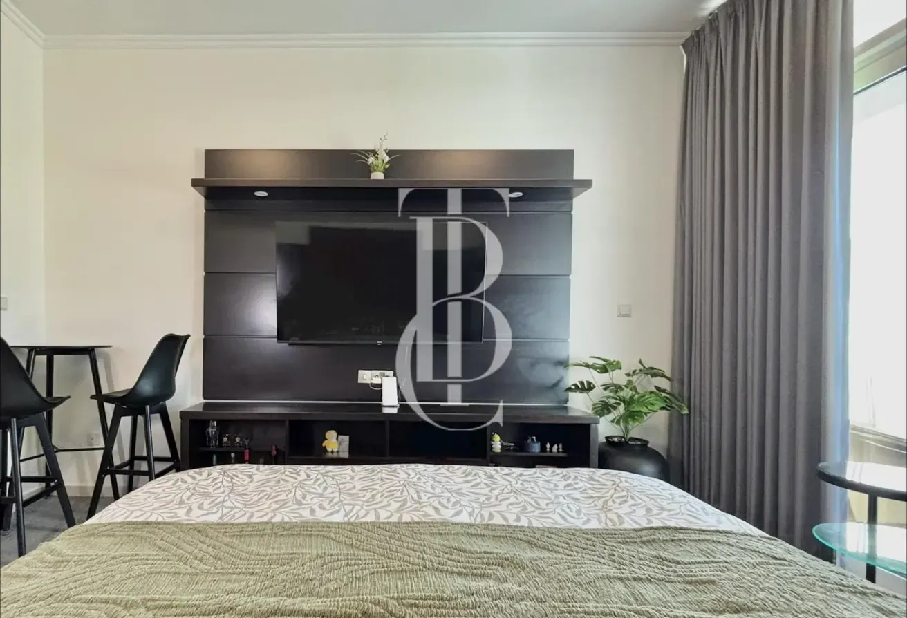 Prime Investor Deal | Furnished Studio | Carson B