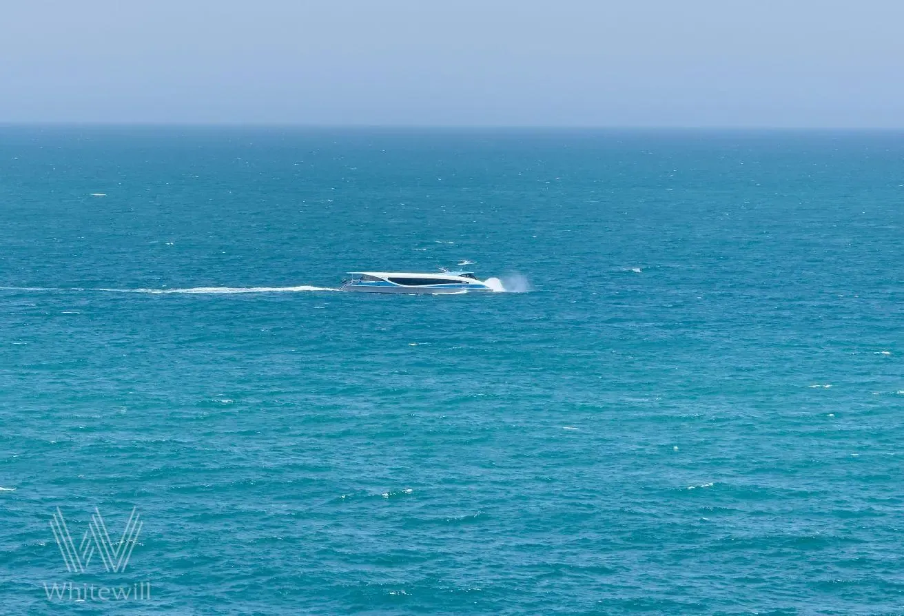 Biggest 3BR Layout |Corner Unit| Sea and Palm View