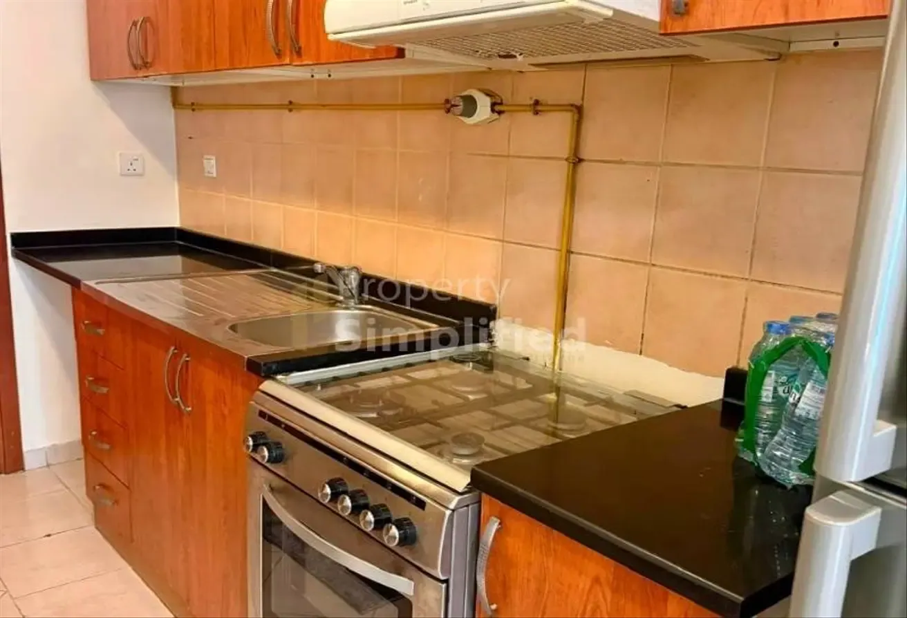 Fully Furnished High-Floor Studio with Lake View