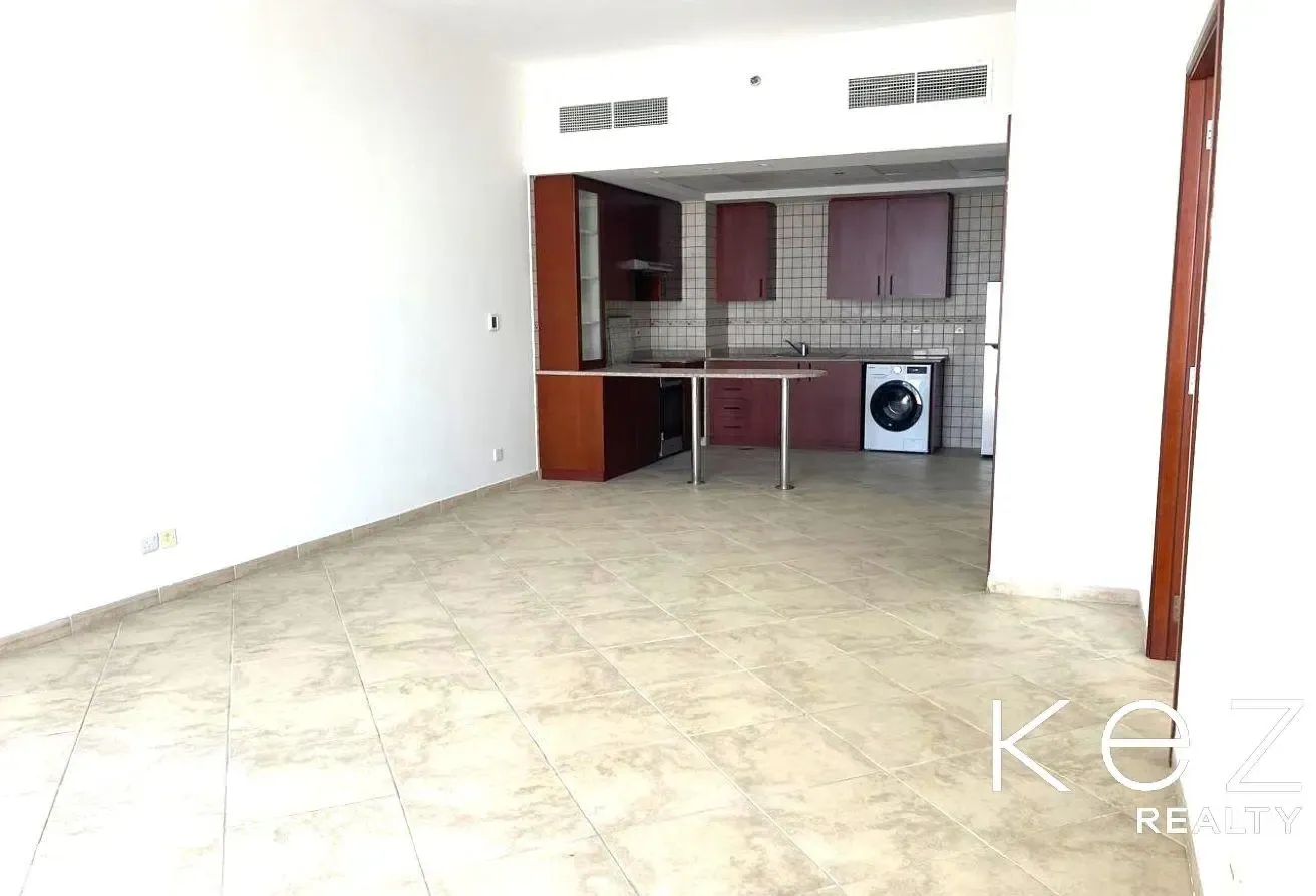 Spacious 1-Bedroom Apartment with Large Terrace